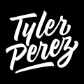 Tyler D. Perez Consulting and Services